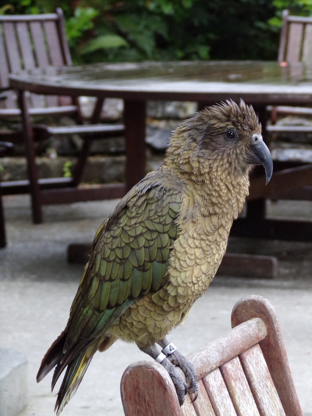 8 Incredible things to do in Arthur’s Pass National Park