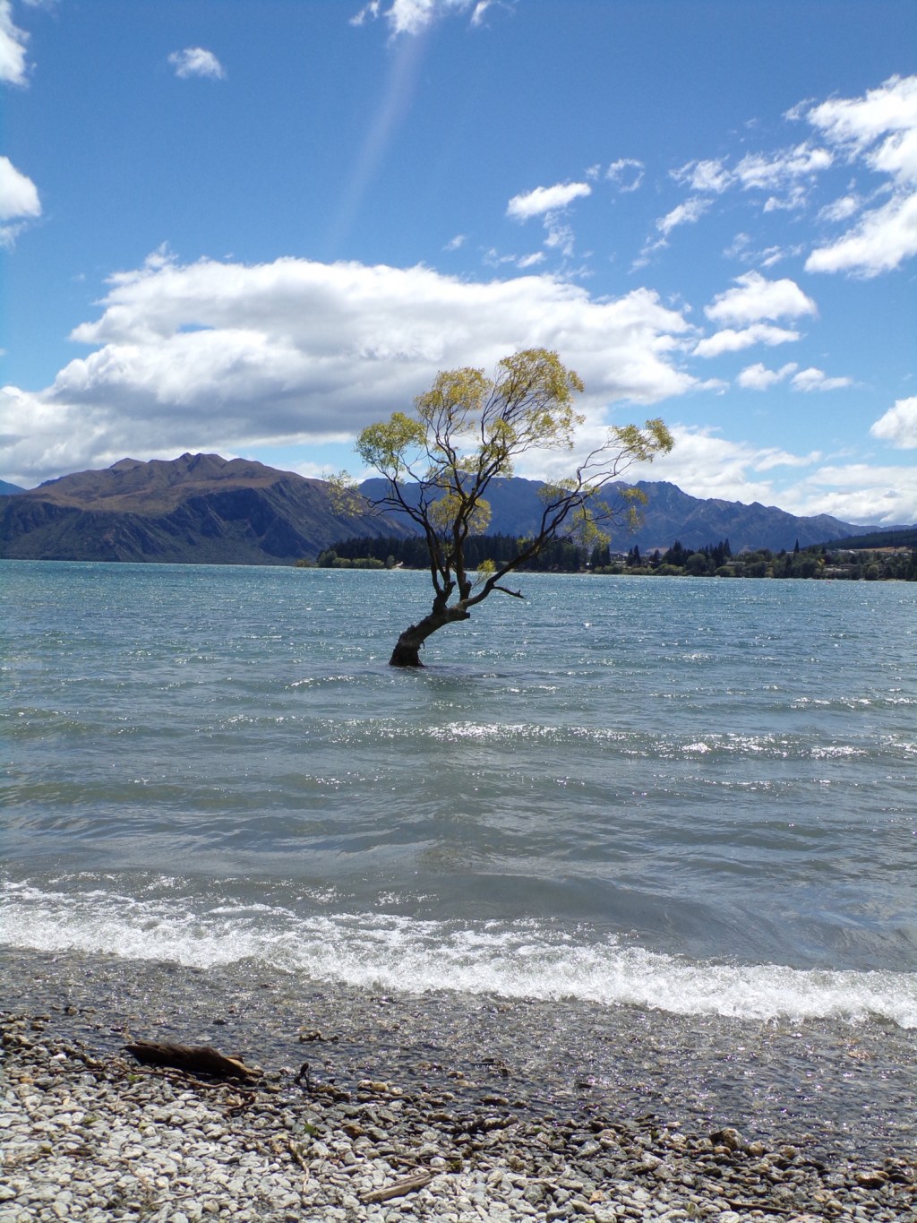 The Ultimate Wanaka Guide: Top 10 things to do