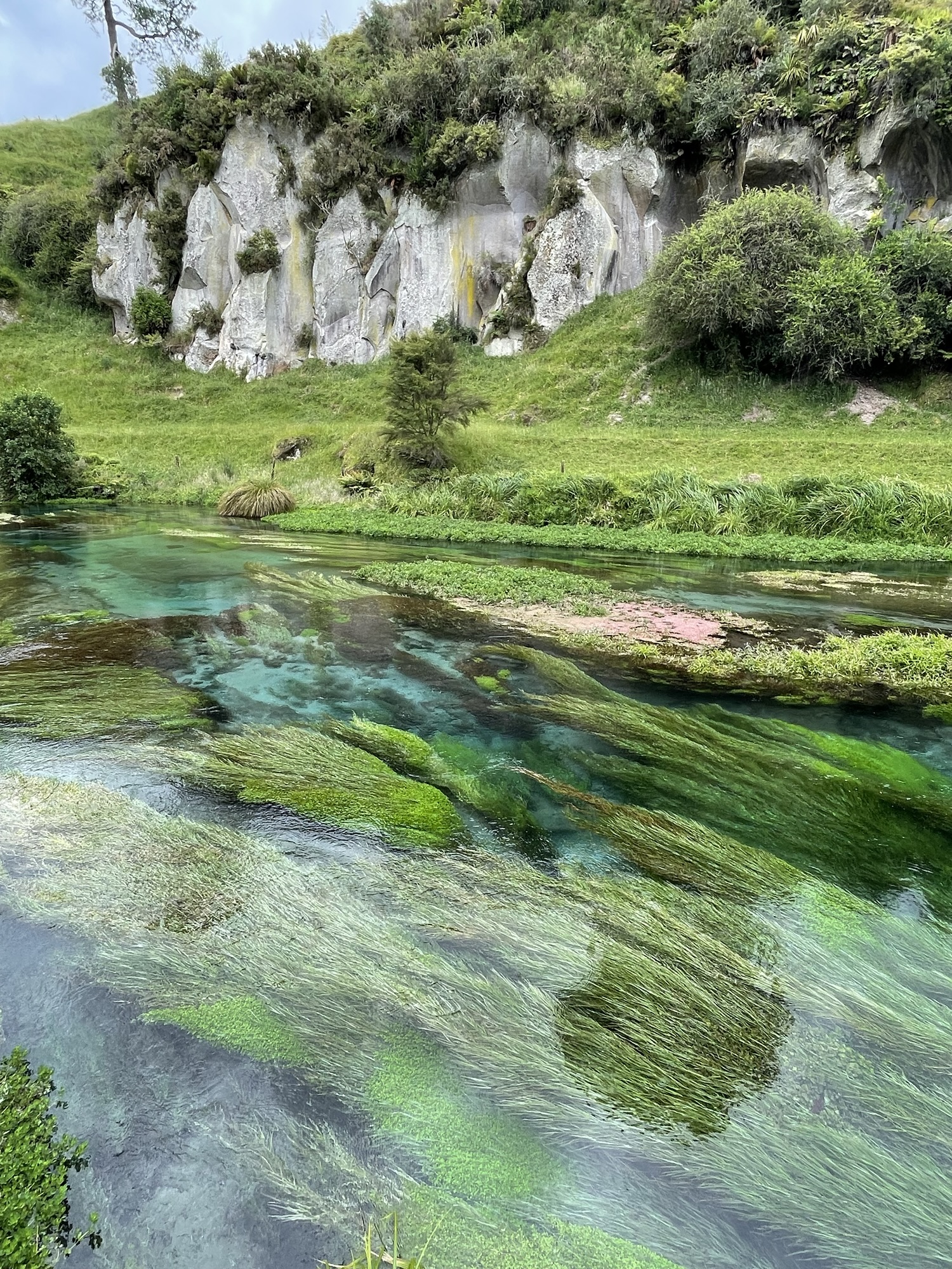 New Zealand Itinerary: Perfect One Month Roadtrip